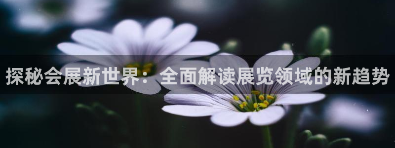 果博平台开户电话：探秘会展新世界：全面解读展览领域的新趋势