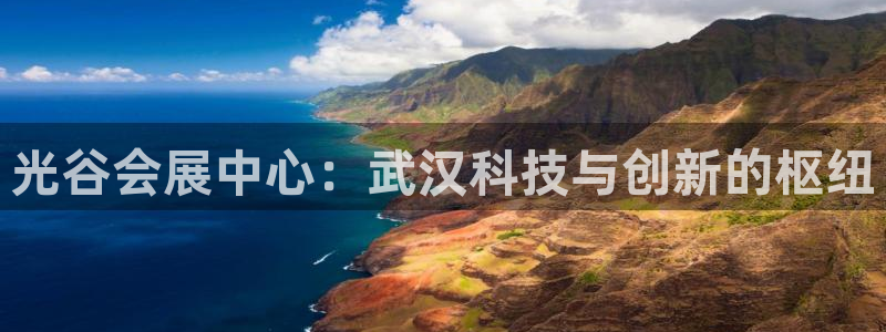 果博环保公司：光谷会展中心：武汉科技与创新的枢纽