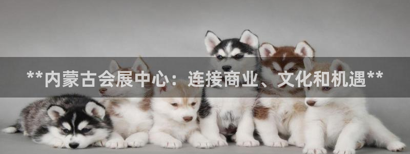 果博官方：**内蒙古会展中心：连接商业、