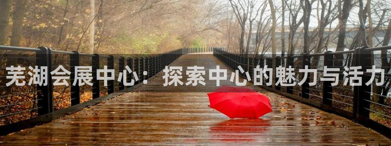 果博公司在线客服：芜湖会展中心：探索中心的魅力与活力