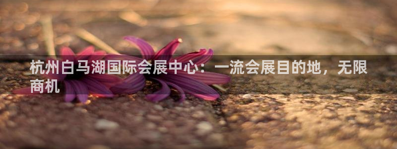 果博怎么注册账号：杭州白马湖国际会展中心：一流会展目的地，无限
商机