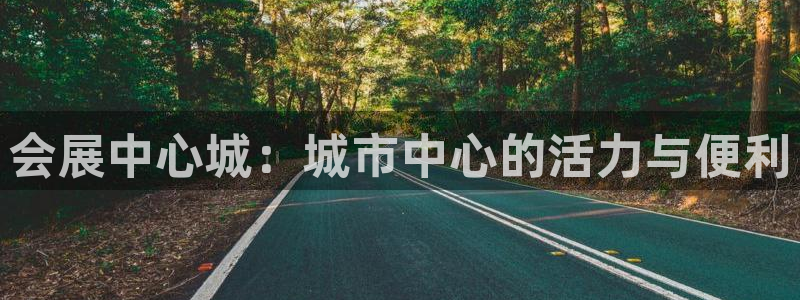 果博代理怎么注册：会展中心城：城市中心的