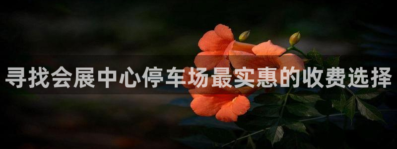 果博官网客服：寻找会展中心停车场最实惠的收费选择
